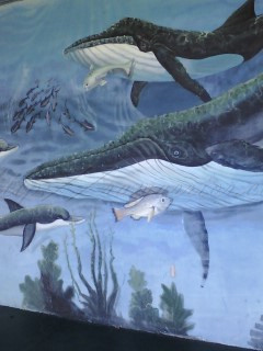 Fish mural in Titusville