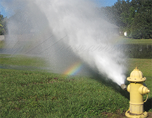 fire hydrant with rainbow