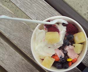 frozen yogurt with pineapple & blueberries