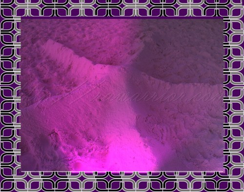 sand starfish in purple lights