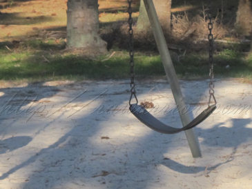 empty swing