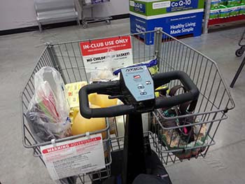 store electric riding cart